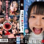 お嬢様は肉便器 生田りん